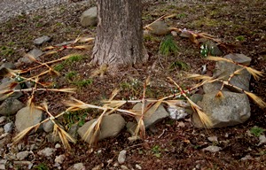 The Wheel of the Year - Brigid's Crosses