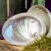 Large Abalone Shells at DreamingGoddess.com