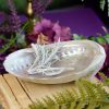 Large Abalone Shells at DreamingGoddess.com