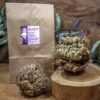 Rose of Jericho