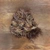 Rose of Jericho