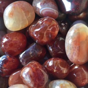 Snakeskin Agate at DreamingGoddess.com