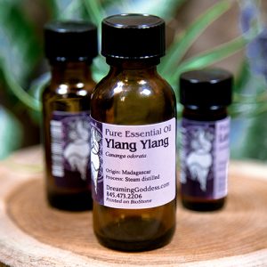 Ylang Ylang Essential Oil