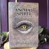 The Wild Unknown Animal Spirit Deck at DreamingGoddess.com