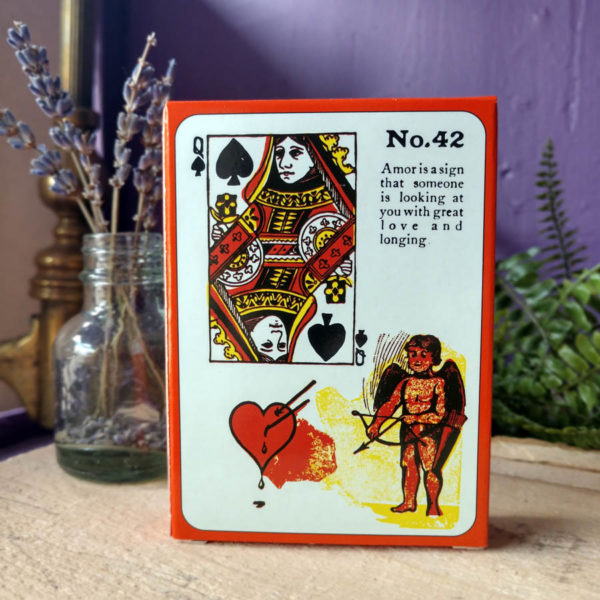 Gypsy Witch Fortune Telling Playing Cards with Instructions at DreamingGoddess.com
