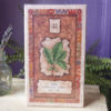 Shaman Wisdom Cards