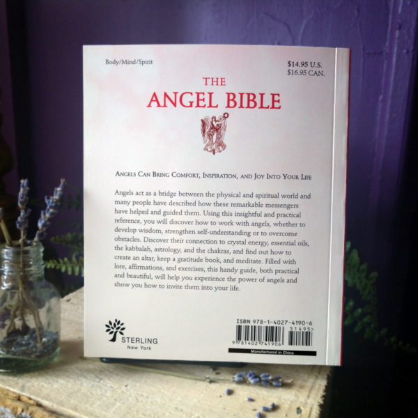 The Angel Bible ~ The Definitive Guide to Angel Wisdom at DreamingGoddess.com