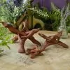Wooden Tripod at the Dreaming Goddess