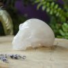Fluorite Traveler Skull at DreamingGoddess.com