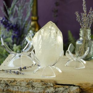 Lucite Tulip Stand at the Dreaming Goddess