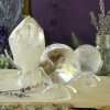 Lucite Tulip Stand at the Dreaming Goddess