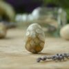 Tumbled Fossilized Coral at DreamingGoddess.com