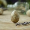 Tumbled Fossilized Coral at DreamingGoddess.com