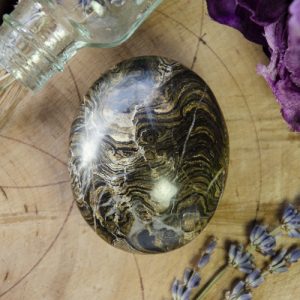 Stromatolite Palm Stone at DreamingGoddess.com