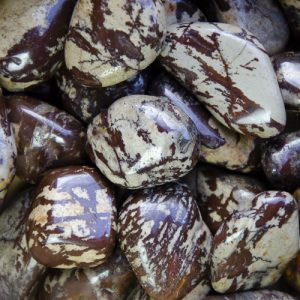 Nguni Jasper at DreamingGoddess.com