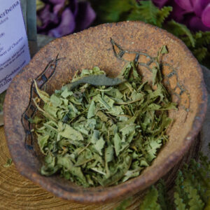 Lemon Verbena at DreamingGoddess.com