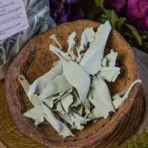 White Sage at DreamingGoddess.com