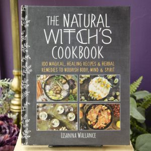 The Natural Witch's Cookbook at DreamingGoddess.com