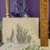 Dendritic Limestone Slab at DreamingGoddess.com