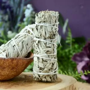 White Sage Bundle at DreamingGoddess.com