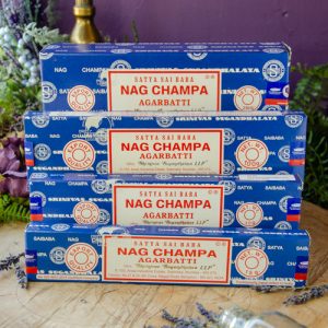 Satya Nag Champa Incense at DreamingGoddess.com