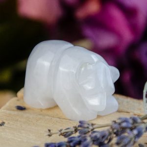 White Onyx Bear at DreamingGoddess.com