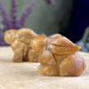 Rabbit ~ Jade, Yellow