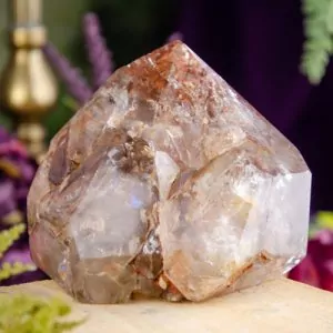 Elestial Smoky Quartz with Lodolite Inclusions Point at DreamingGoddess.com