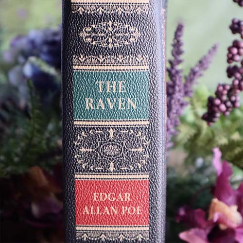 The Raven by Edgar Allan Poe tote bag. Handbag with The Raven book des –  Universal Zone