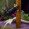 Jet Stone Crowned Raven with Herkimer Diamond at DreamingGoddess.com