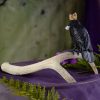Jet Stone Crowned Raven with Herkimer Diamond at DreamingGoddess.com