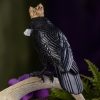 Jet Stone Crowned Raven with Herkimer Diamond at DreamingGoddess.com
