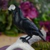 Jet Stone Raven with Quartz Skull at DreamingGoddess.com