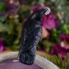 Jet Stone Raven with Quartz Skull at DreamingGoddess.com