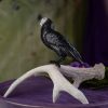 Jet Stone Raven with Quartz Skull at DreamingGoddess.com