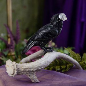 Jet Stone Raven with Quartz Skull at DreamingGoddess.com