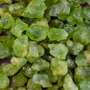 Raw Peridot at DreamingGoddess.com