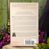 You Are More Than You Think You Are Book at DreamingGoddess.com