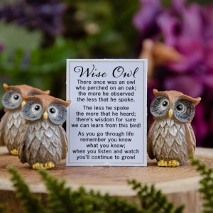Wise Owl Charm at DreamingGoddess.com