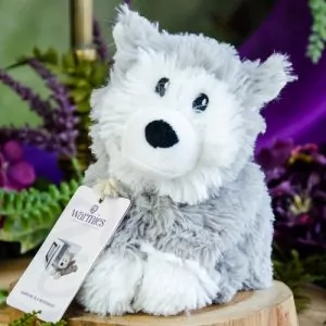 Warmies Husky at DreamingGoddess.com