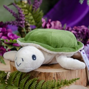 Warmies Turtle at DreamingGoddess.com