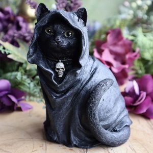 Cloaked Black Cat at DreamingGoddess.com