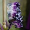 Amethyst Heart with Stand at DreamingGoddess.com