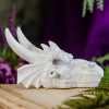 White Jade Dragon Skull at DreamingGoddess.com