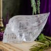 Clear Quartz Traveler Skull at DreamingGoddess.com