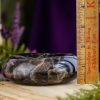 Smoky Quartz Dish at DreamingGoddess.com