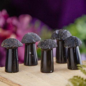 Tektite Mushroom at DreamingGoddess.com