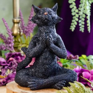 Yoga Cat at DreamingGoddess.com