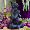 Yoga Cat at DreamingGoddess.com