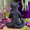 Yoga Cat at DreamingGoddess.com